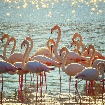 Al Parco